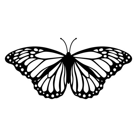 butterfly silhouette|picture of a drawn butterfly.